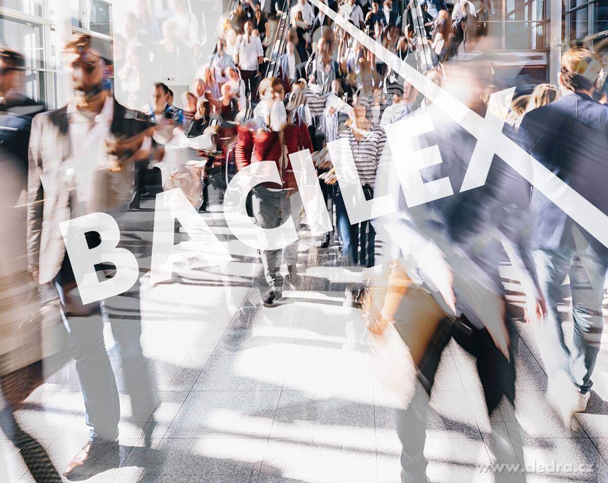 2+1 ZDARMA, BACILEX®, dezinfekční gel na ruce, certifikovaný, 3 x 100 ml – náhled 3 | Grand Móda