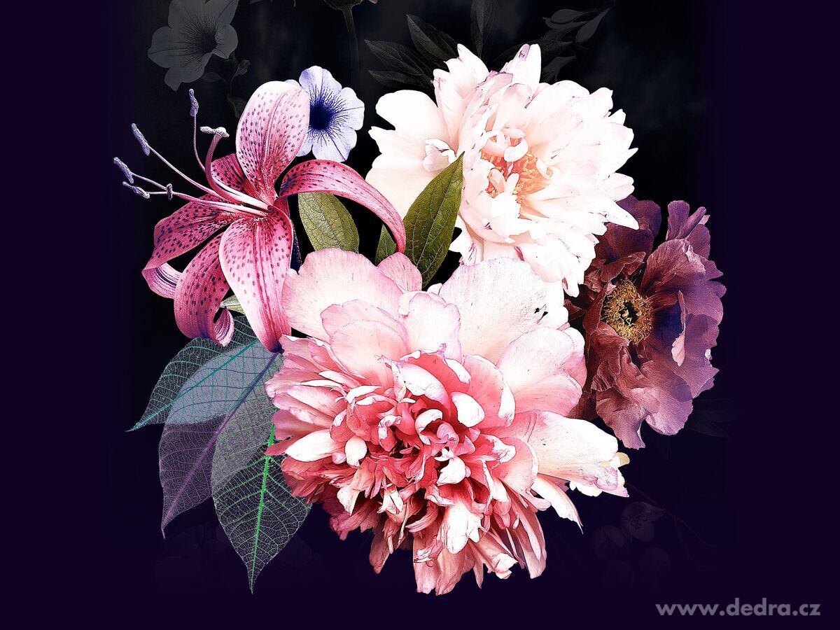 1+1 SADA pěnové mýdlo na ruce i tělo FLORENTINA – náhled 4 | Grand Móda