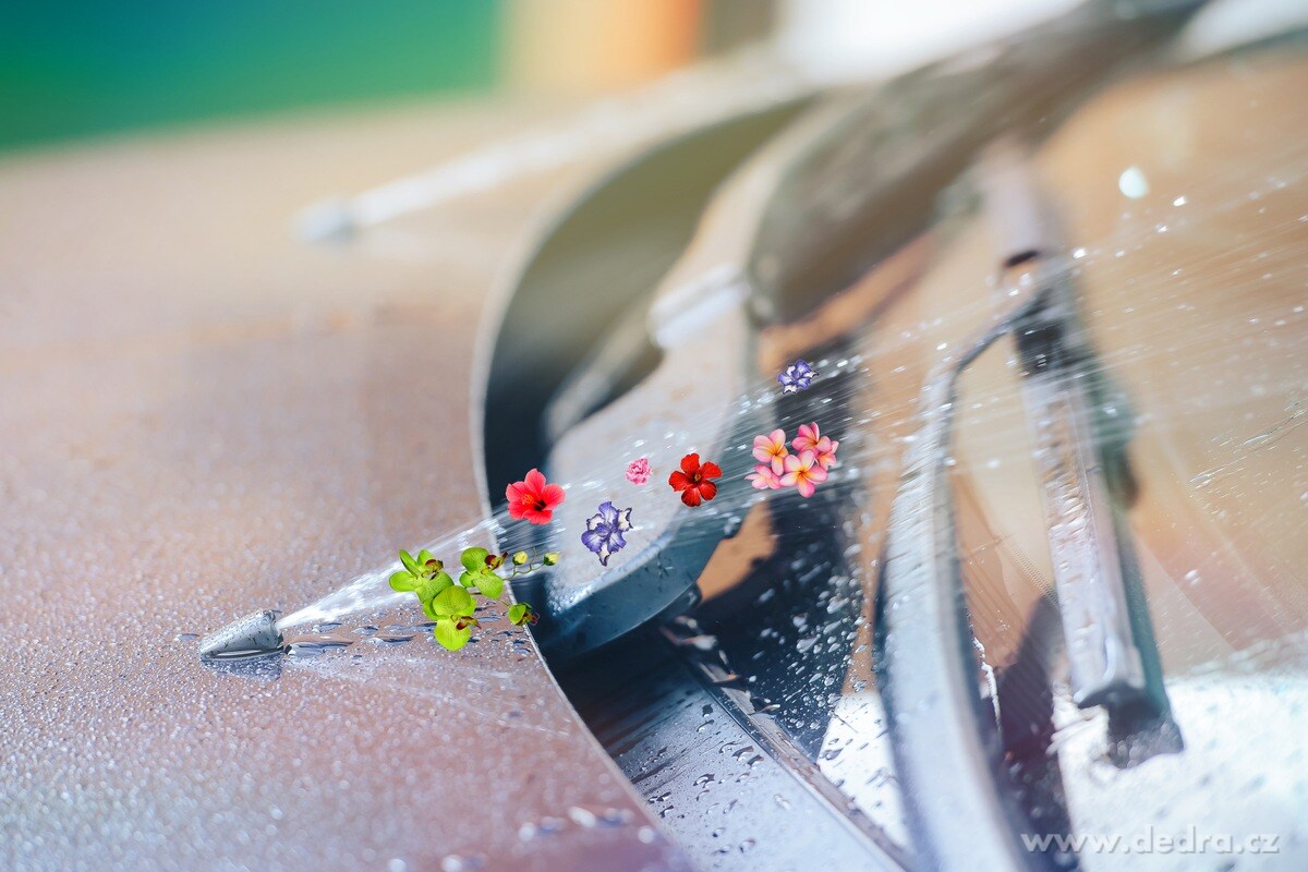 SUMMER CLEANER | Parfemovan├Ż koncentr├ít ÔÇô letn├ş sm─Ťs do ost┼Öikova─Ź┼» | 1ÔÇ»L - obr├ízek 6 | Autokosmetika | Grand M├│da