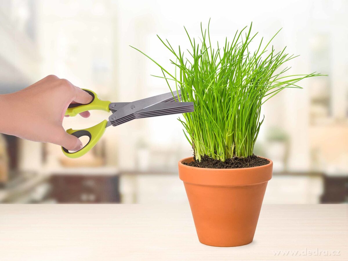 BYLINKÁTOR, nůžky na bylinky s 5 břity + čistítko a kryt – náhled 3 | Grand Móda