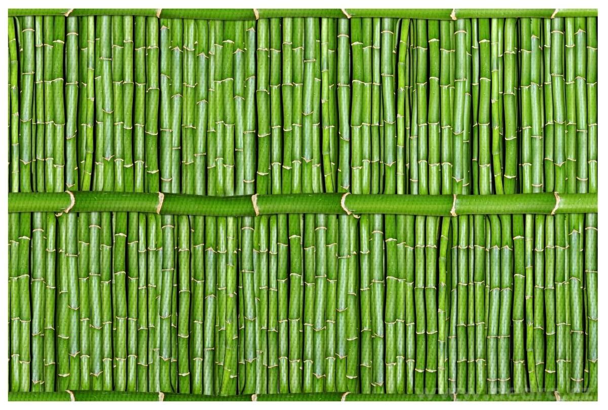 DESIGNOVÉ PROSTÍRÁNÍ, omyvatelné s fotopotiskem | Prostírání | Grand Móda