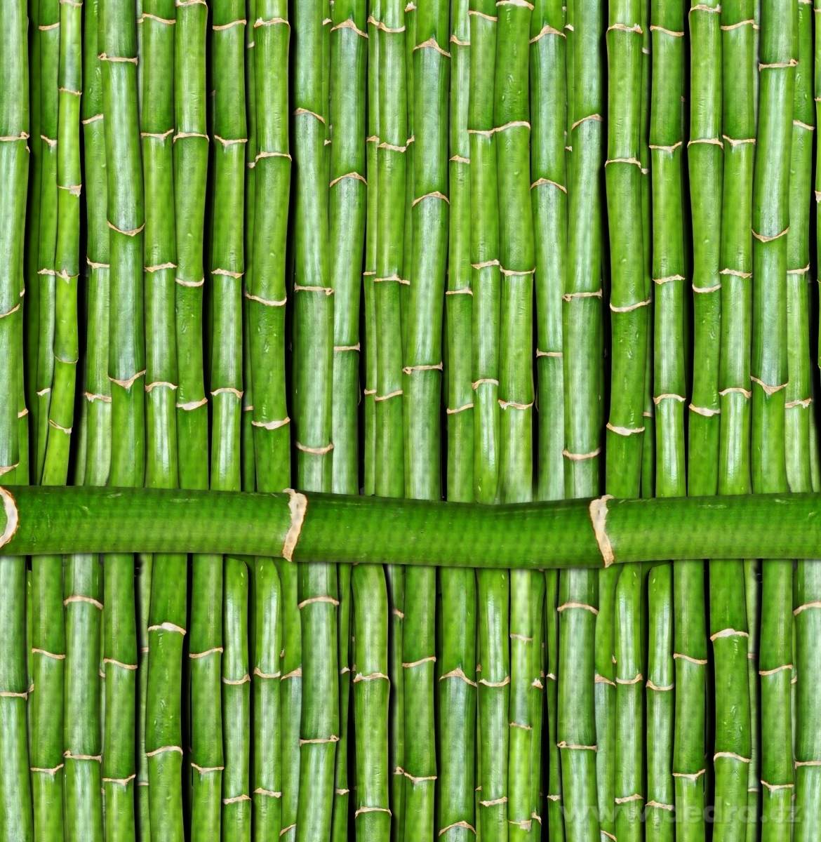 DESIGNOVÉ PROSTÍRÁNÍ, omyvatelné s fotopotiskem – náhled 2 | Grand Móda