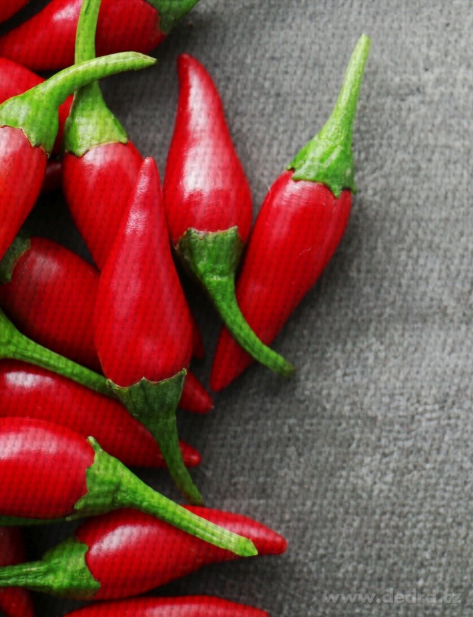 DESIGNOVÉ PROSTÍRÁNÍ, omyvatelné s fotopotiskem – náhled 2 | Grand Móda