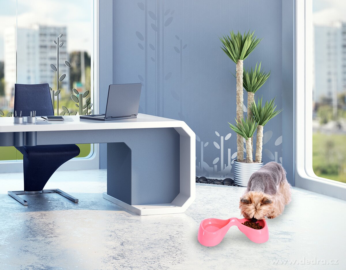 DUO miska, pro domácí mazlíčky – náhled 3 | Grand Móda