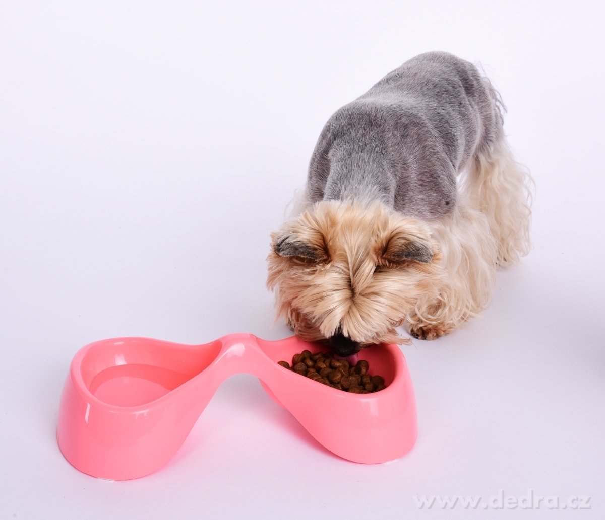 DUO miska, pro domácí mazlíčky – náhled 4 | Grand Móda