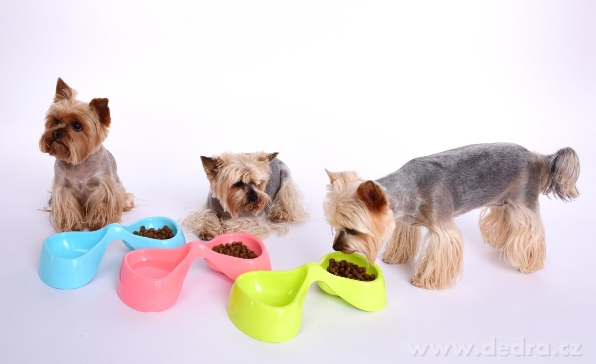 DUO miska, pro domácí mazlíčky – náhled 3 | Grand Móda