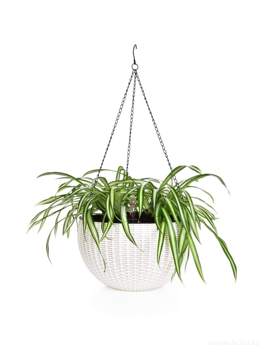 26 cm samozavlažovací závěsný květináč RATAN AQUARIUS – náhled 5 | Grand Móda