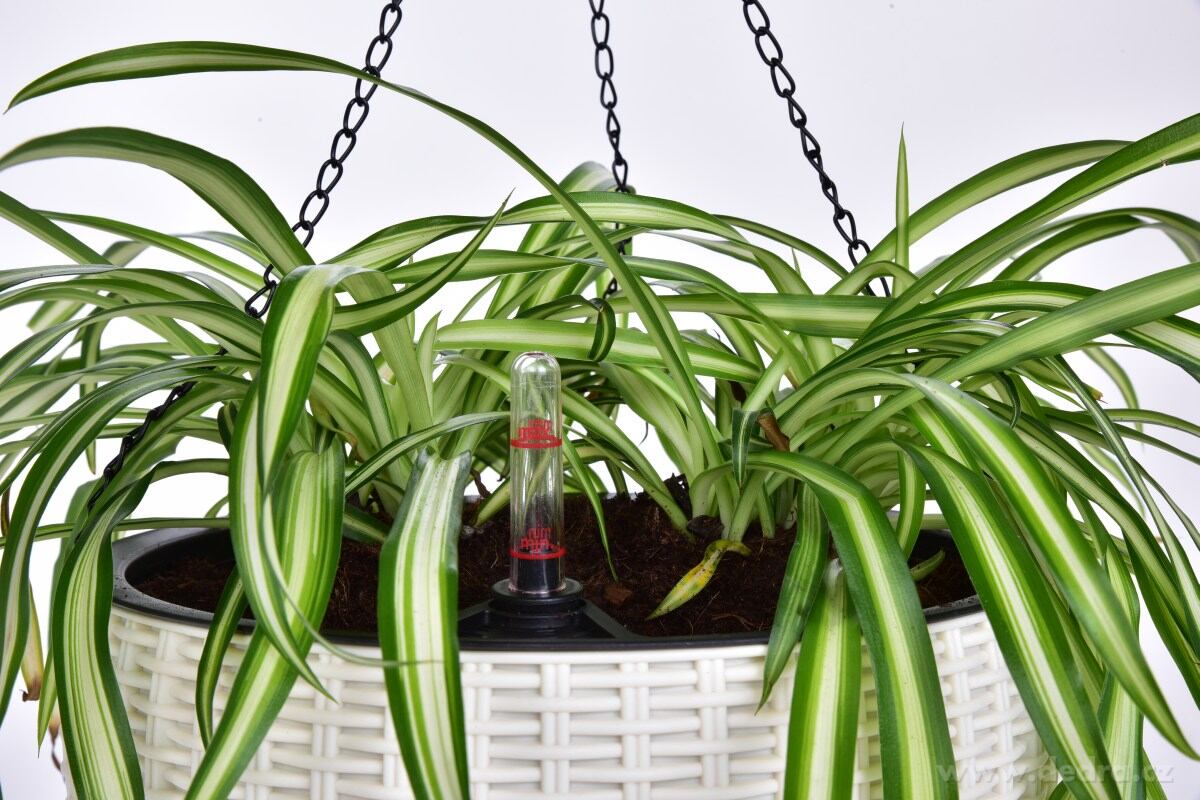 26 cm samozavlažovací závěsný květináč RATAN AQUARIUS – náhled 6 | Grand Móda