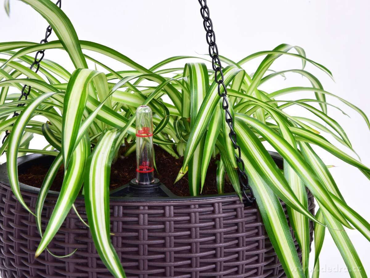 26 cm samozavlažovací závěsný květináč RATAN AQUARIUS – náhled 6 | Grand Móda