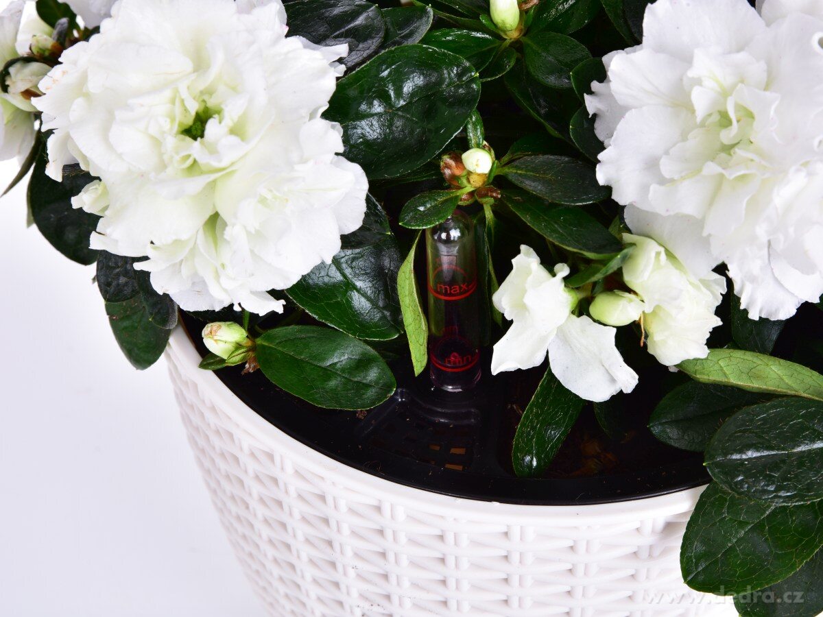 21 cm samozavlažovací stojící květináč RATAN AQUARIUS – náhled 6 | Grand Móda