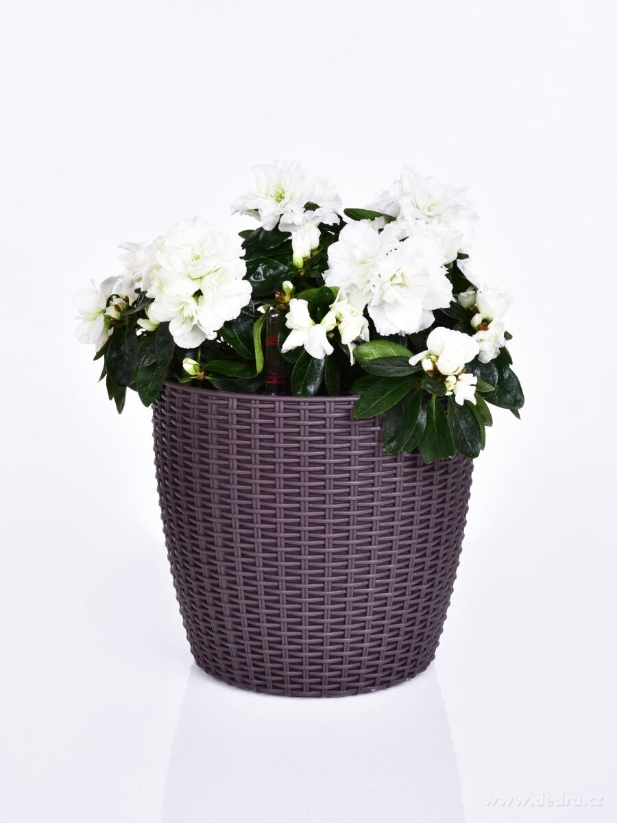 21 cm samozavlažovací stojící květináč RATAN AQUARIUS – náhled 5 | Grand Móda