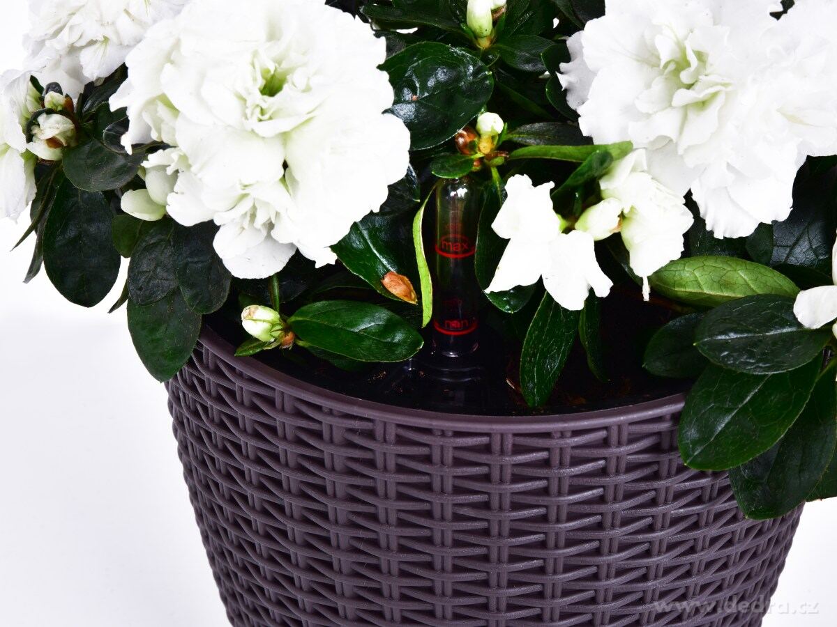 21 cm samozavlažovací stojící květináč RATAN AQUARIUS – náhled 6 | Grand Móda