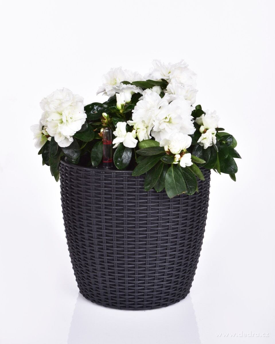 21 cm samozavlažovací stojící květináč RATAN AQUARIUS – náhled 5 | Grand Móda