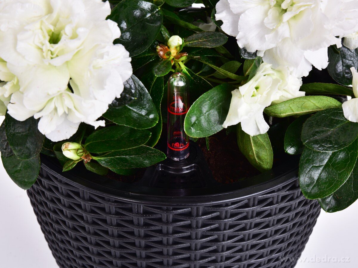 21 cm samozavlažovací stojící květináč RATAN AQUARIUS – náhled 6 | Grand Móda