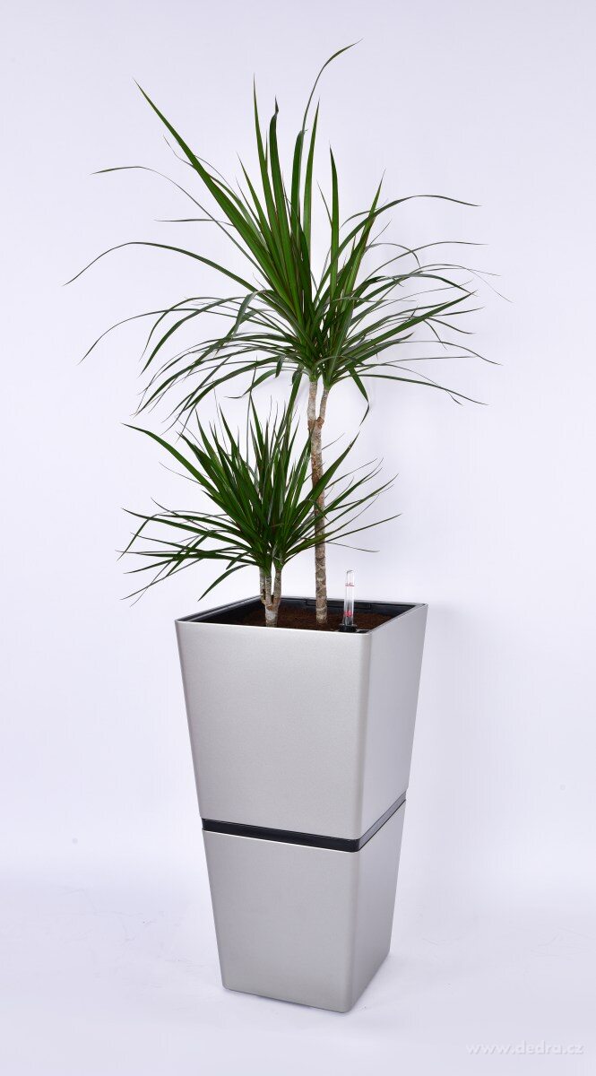 62 cm samozavlažovací XXL květináč AQUARIUS – náhled 4 | Grand Móda