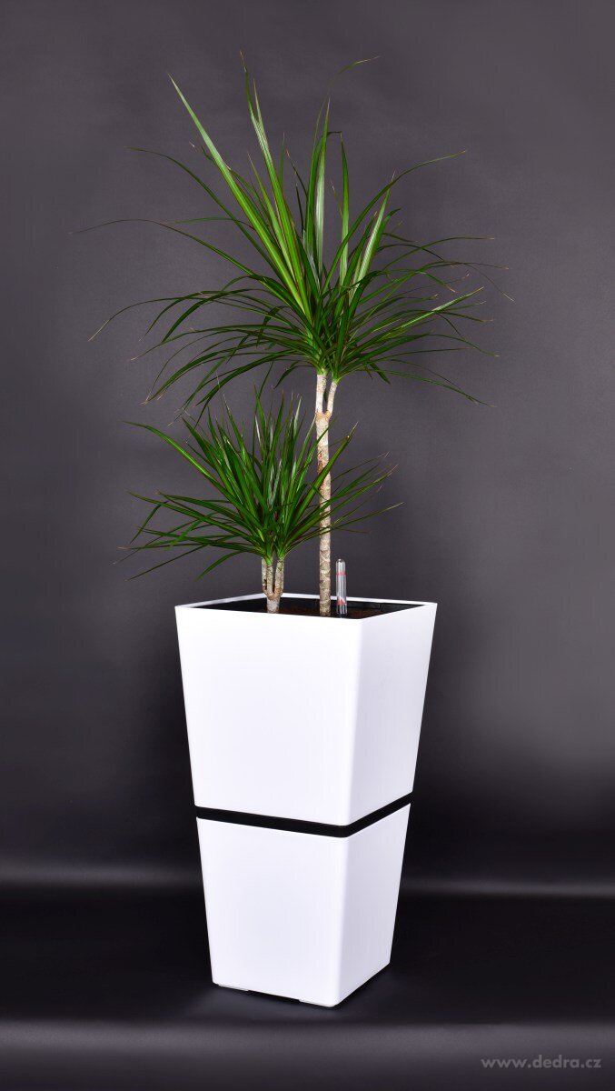 62 cm samozavlažovací XXL květináč AQUARIUS – náhled 4 | Grand Móda