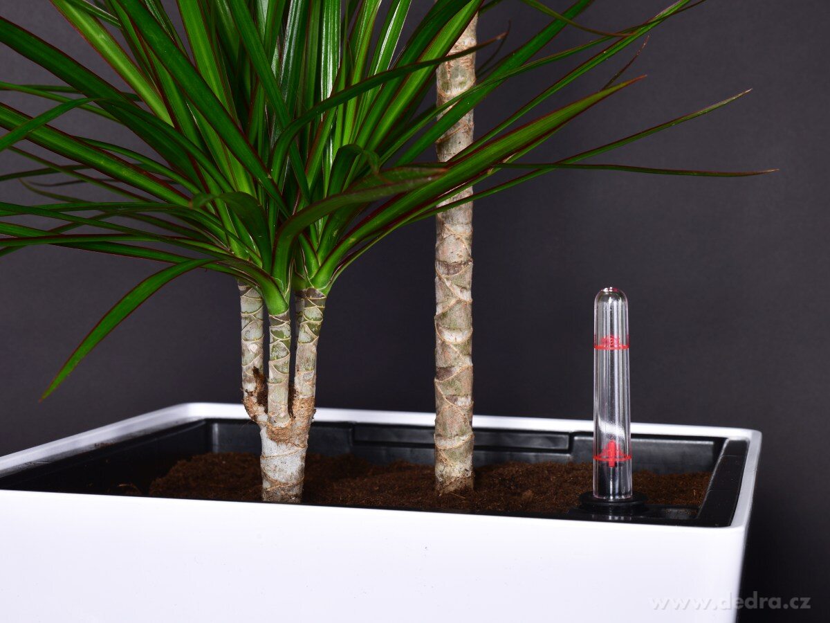 62 cm samozavlažovací XXL květináč AQUARIUS – náhled 5 | Grand Móda