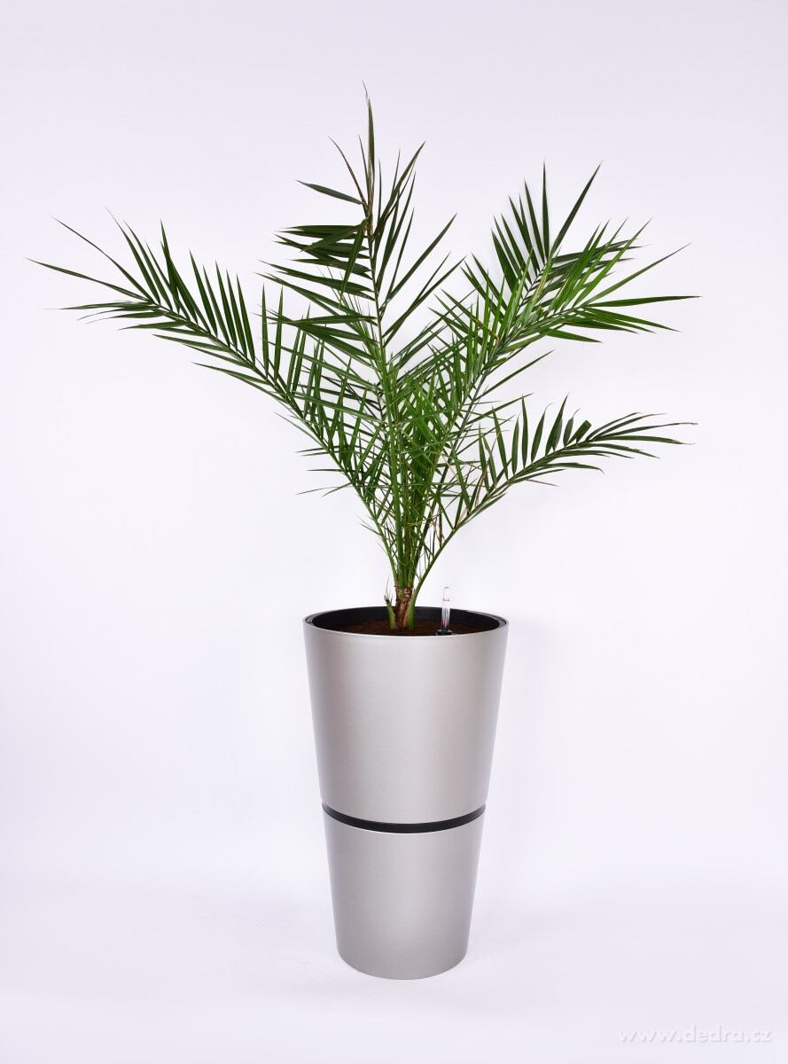 71 cm samozavlažovací XXL květináč AQUARIUS – náhled 4 | Grand Móda