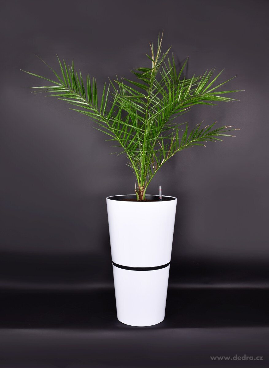 71 cm samozavlažovací XXL květináč AQUARIUS – náhled 4 | Grand Móda