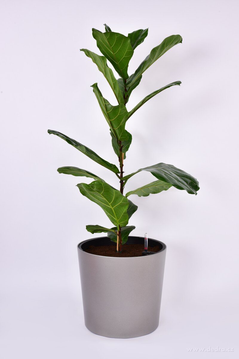 41 cm samozavlažovací XL květináč AQUARIUS – náhled 4 | Grand Móda