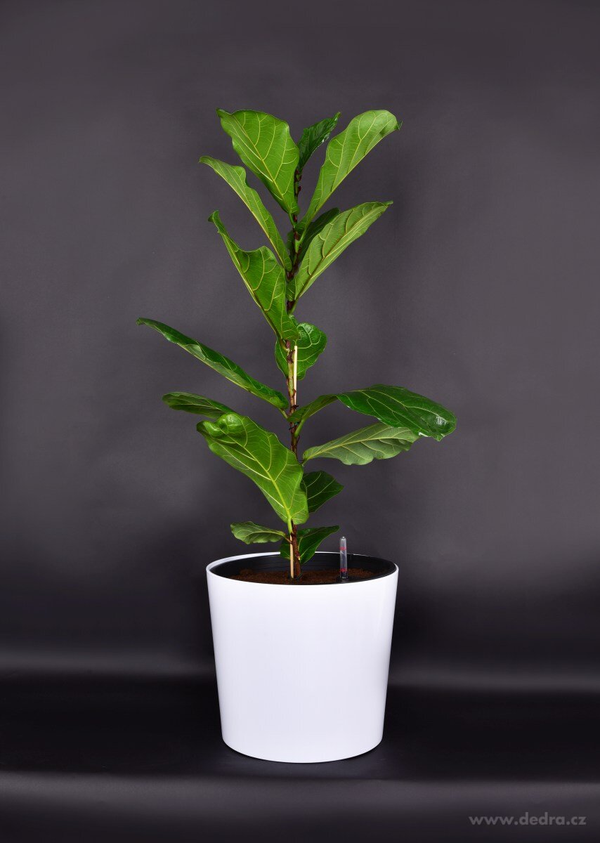 41 cm samozavlažovací XL květináč AQUARIUS – náhled 4 | Grand Móda