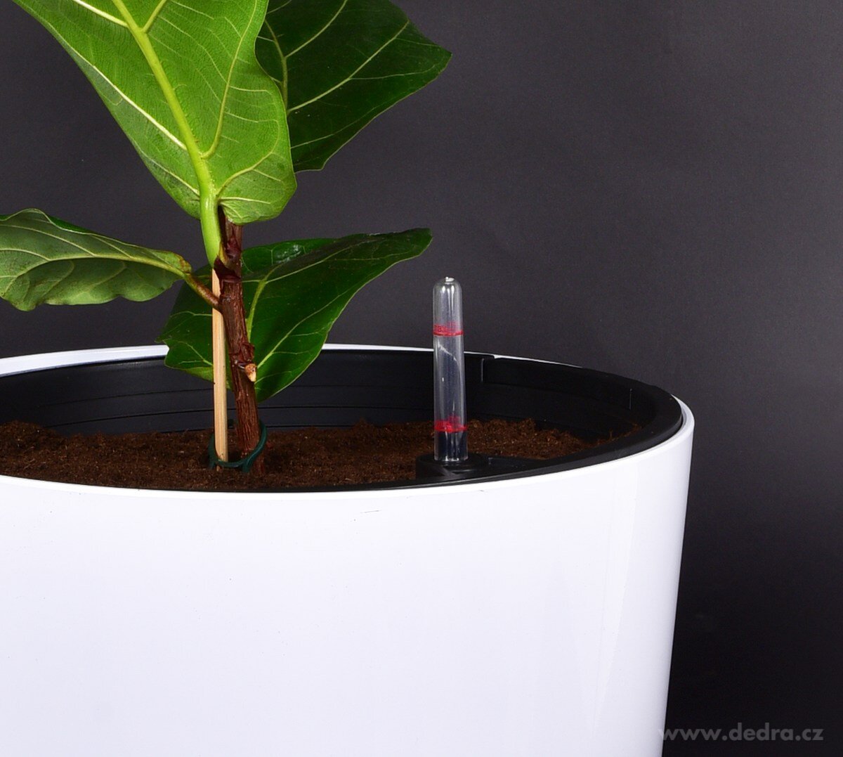 41 cm samozavlažovací XL květináč AQUARIUS – náhled 5 | Grand Móda