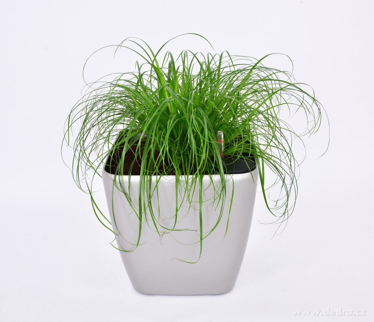 26 cm Luxusní samozavlažovací květináč AQUARIUS – náhled 4 | Grand Móda