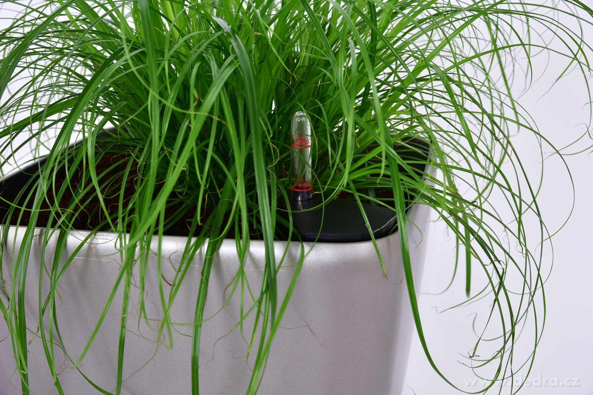 26 cm Luxusní samozavlažovací květináč AQUARIUS – náhled 5 | Grand Móda