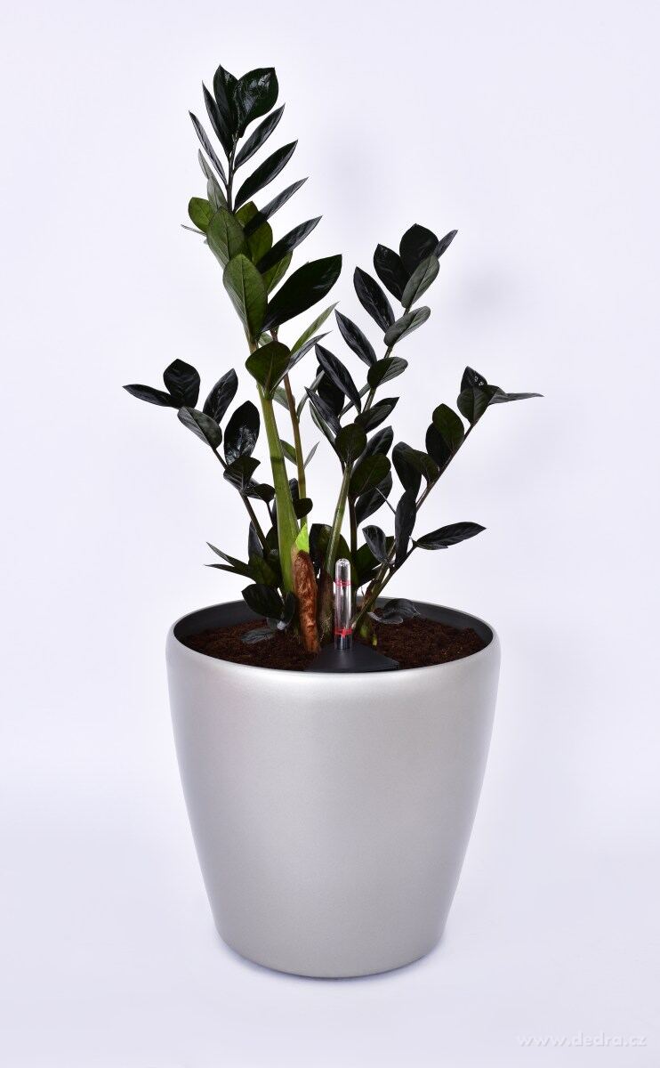 31 cm samozavlažovací XL květináč AQUARIUS – náhled 4 | Grand Móda