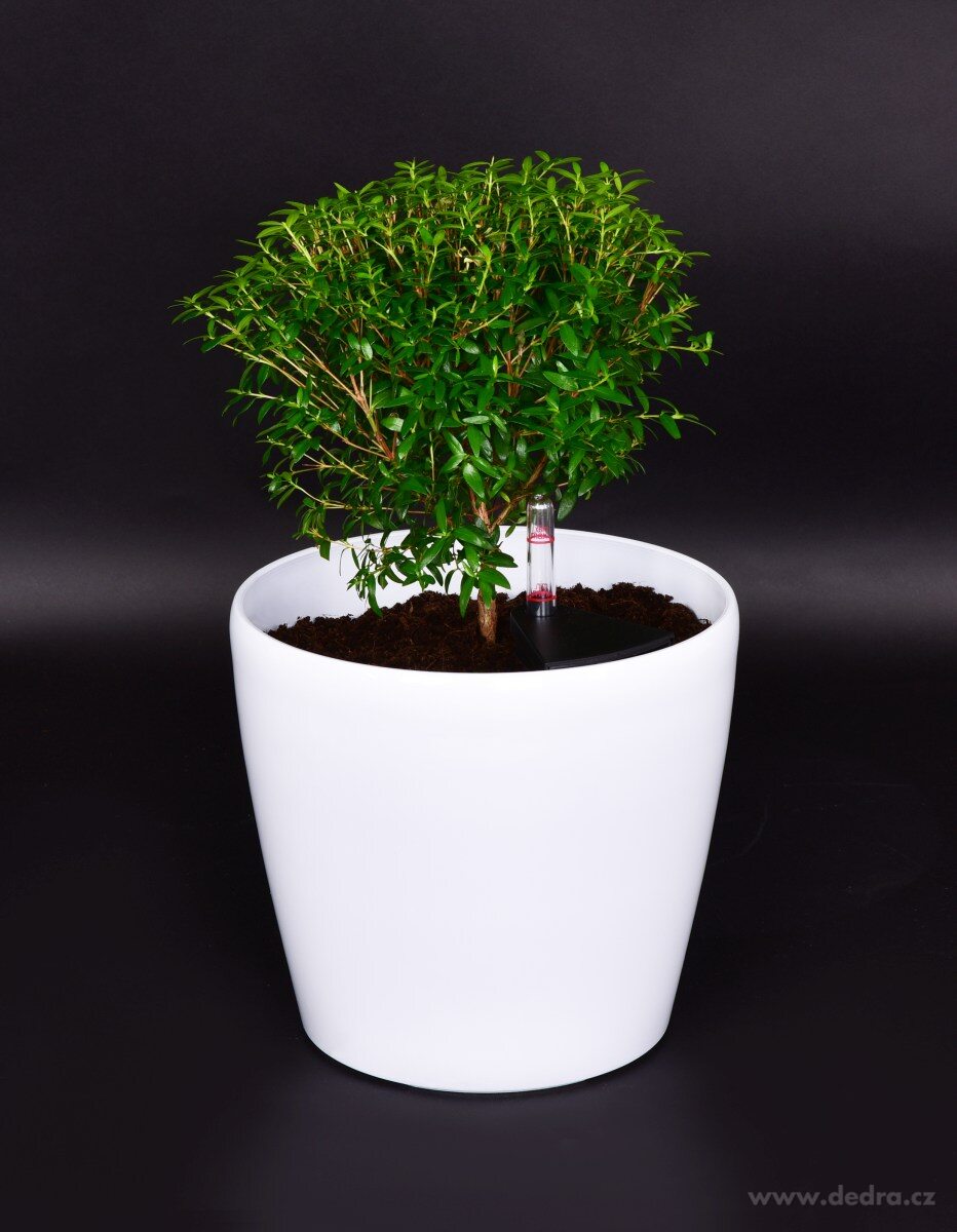 20 cm Luxusní samozavlažovací květináč AQUARIUS – náhled 6 | Grand Móda