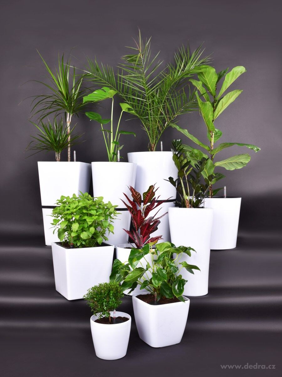 31 cm samozavlažovací XL květináč AQUARIUS – náhled 3 | Grand Móda