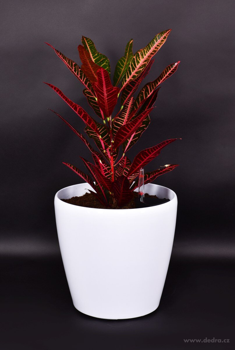 31 cm samozavlažovací XL květináč AQUARIUS – náhled 4 | Grand Móda