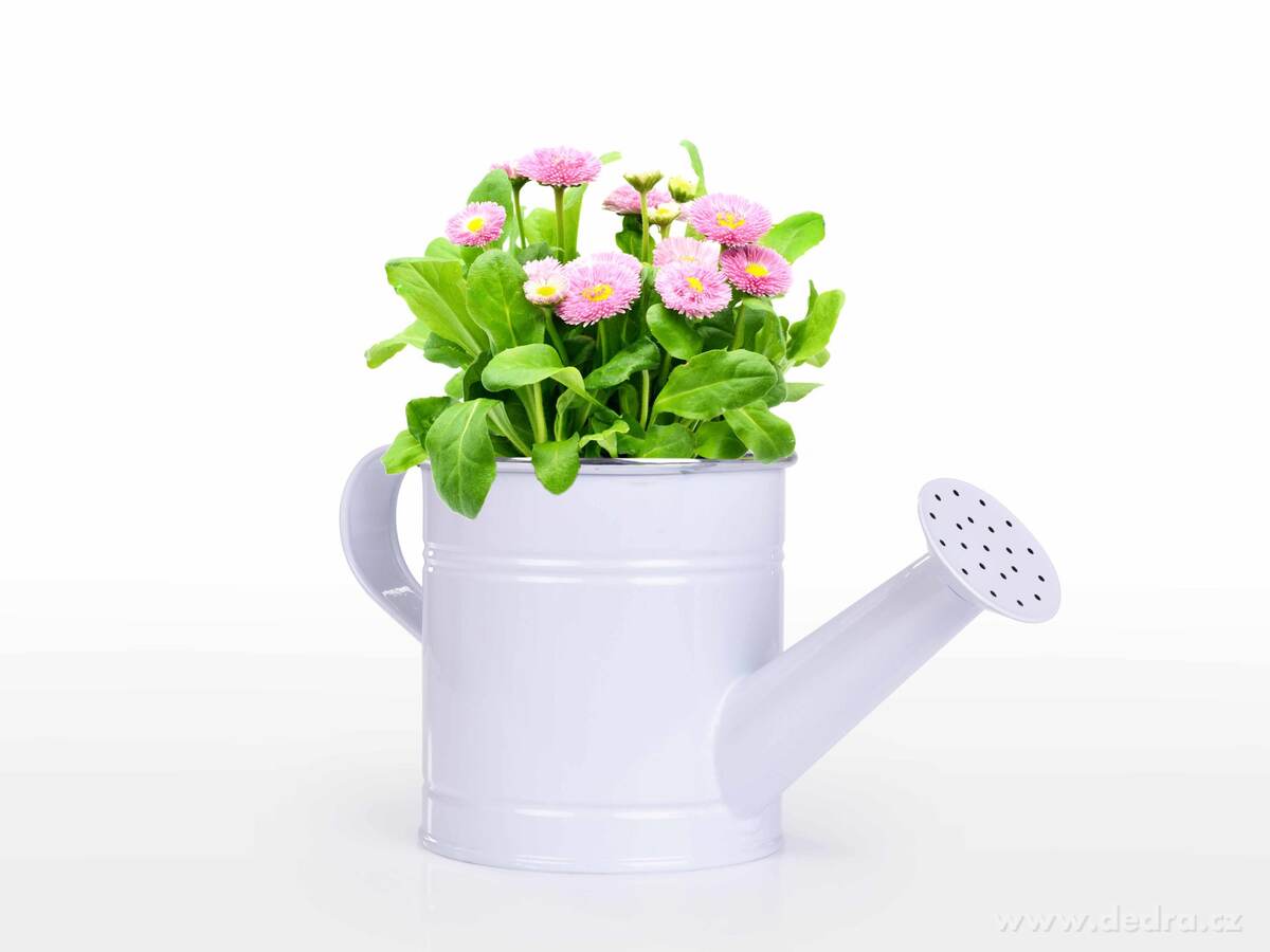 22 cm Dekorativní kovová konvička, bílá – náhled 3 | Grand Móda