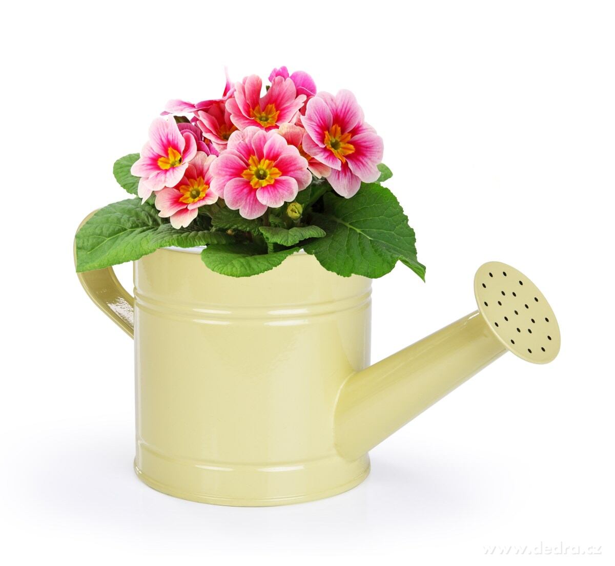 22 cm Dekorativní kovová konvička, vanilková – náhled 3 | Grand Móda