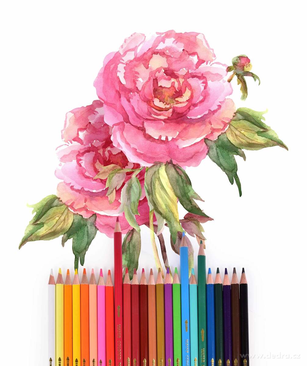 24 ks sada uměleckých akvarelových pastelek nejvyšší kvality, AQUARELLE – náhled 4 | Grand Móda