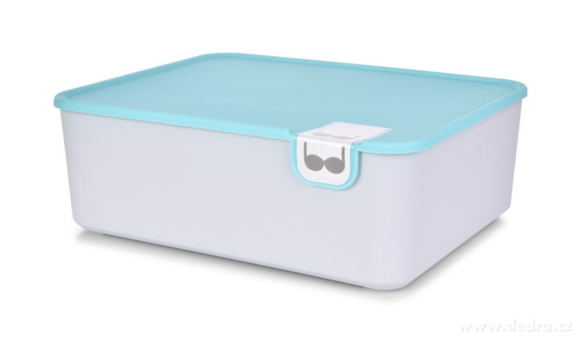 BEAUTY, praktický plastový organizér na podprsenky a spodní prádlo, 11 cm