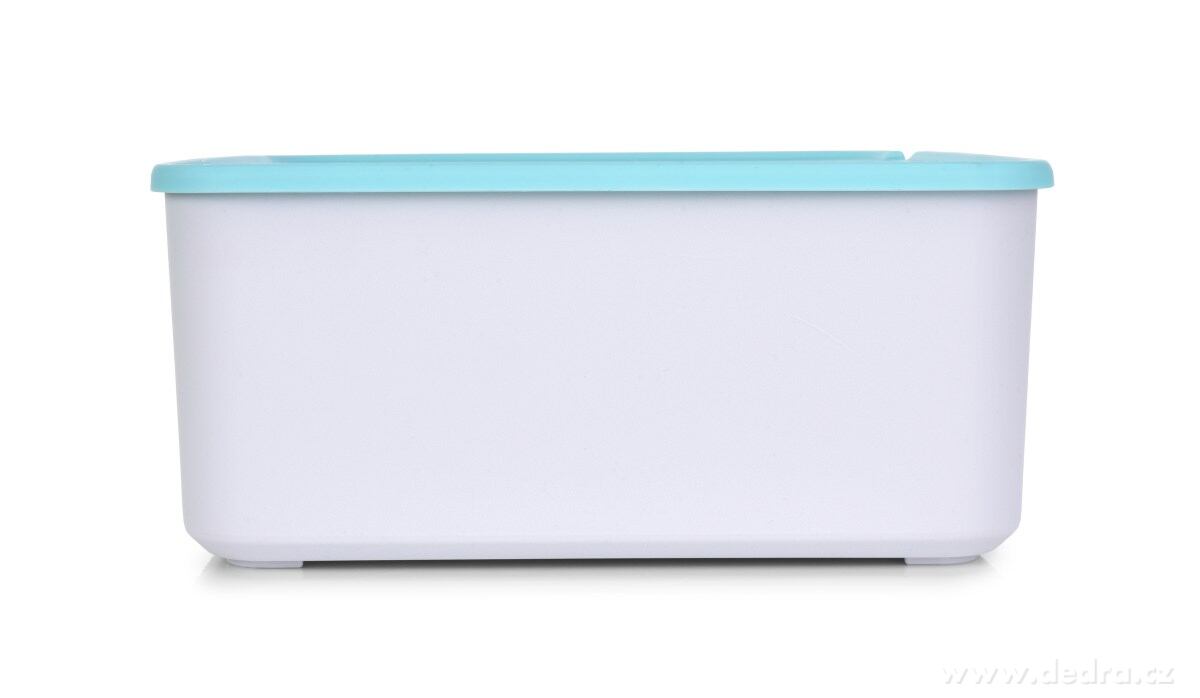 BEAUTY, praktický plastový organizér na podprsenky a spodní prádlo, 11 cm – náhled 4 | Grand Móda