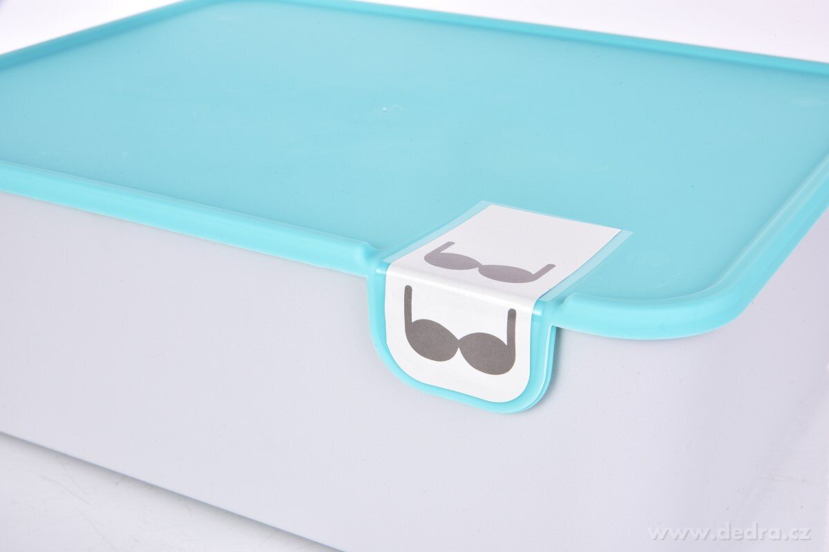 BEAUTY, praktický plastový organizér na podprsenky a spodní prádlo, 11 cm – náhled 5 | Grand Móda