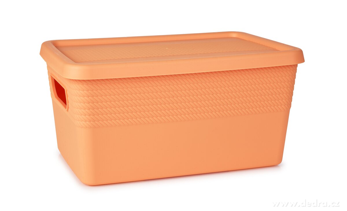 PRAKTIK, úložný box s víkem, 27, 5 cm