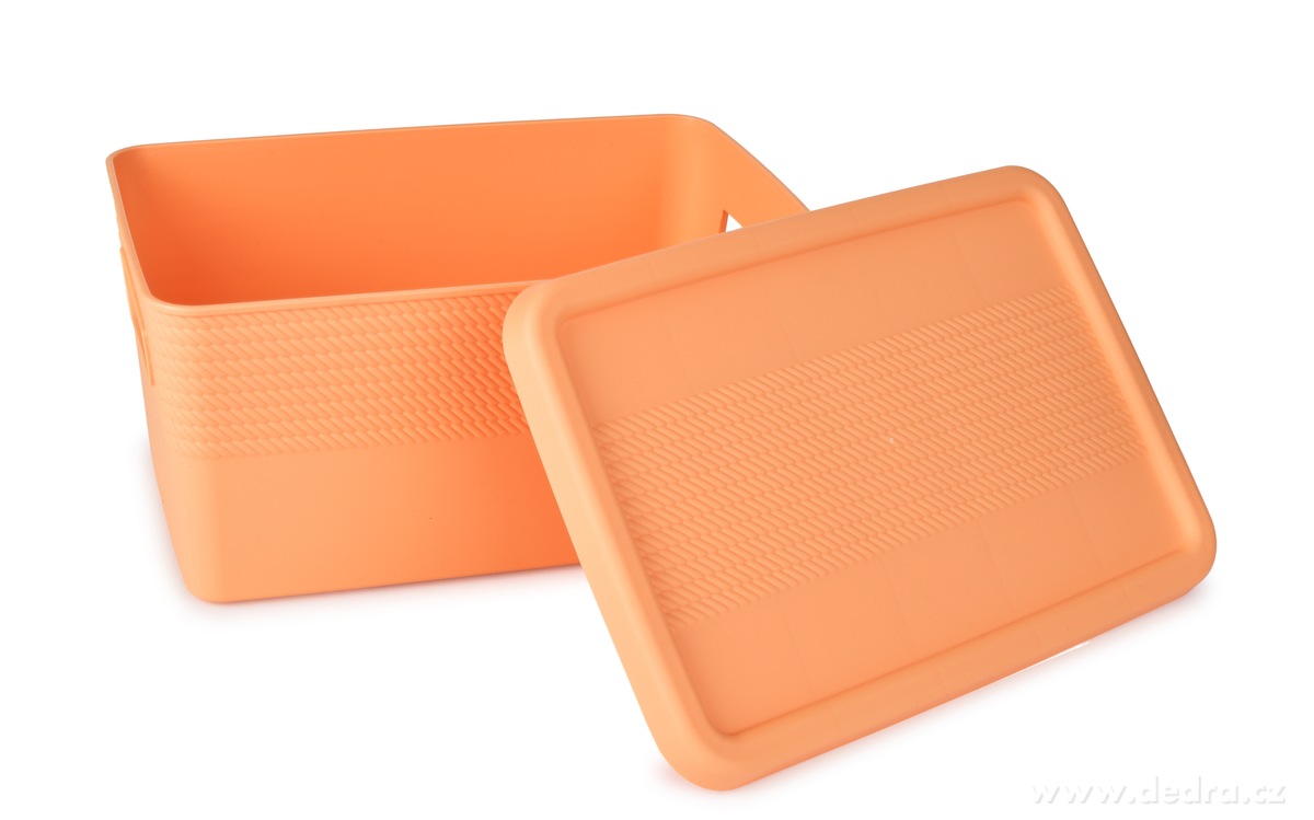 PRAKTIK, úložný box s víkem, 27, 5 cm – náhled 5 | Grand Móda