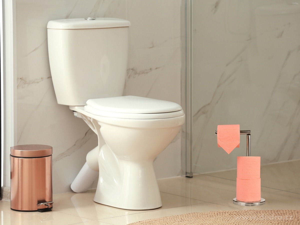 GoEco®, 2v1 nerezový stojan na toaletní papír a držák, praktický a variabilní – náhled 3 | Grand Móda