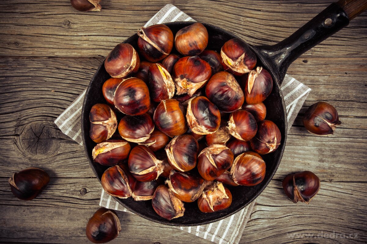 CHEF, 2v1 nerezový louskáček a kleště na ořechy a jedlé kaštany, 16 cm – náhled 3 | Grand Móda