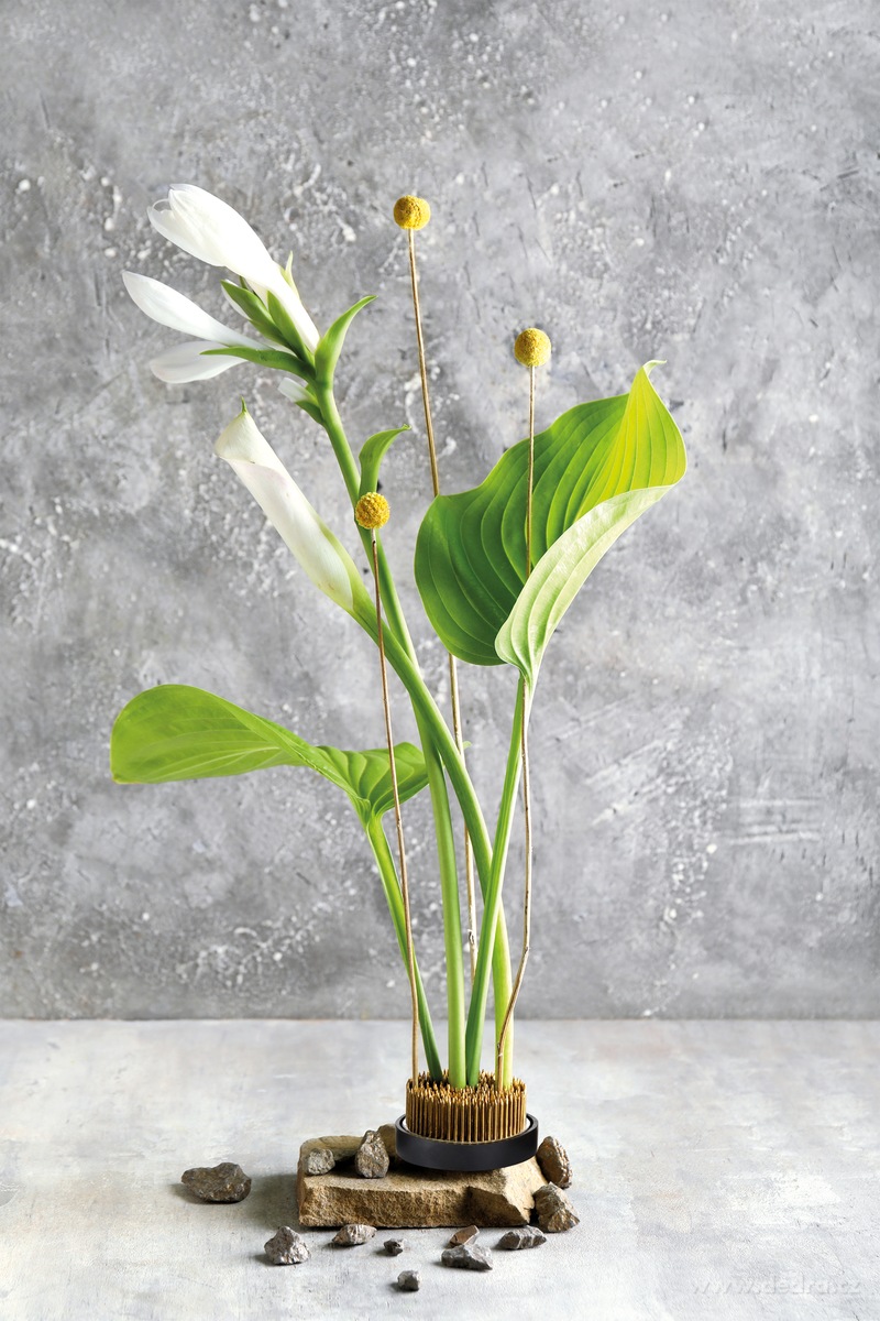 IKEBANA, Aranžovací napichovací ježek na květiny, Ø 6 cm, 450 g – náhled 5 | Grand Móda