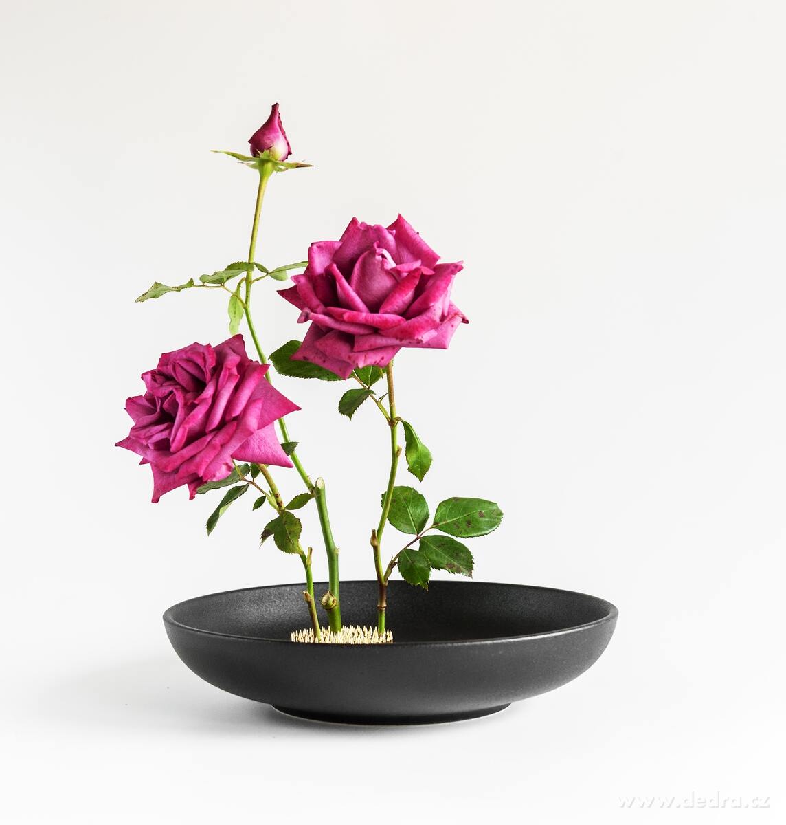 IKEBANA, Aranžovací napichovací ježek na květiny, Ø 9 cm, 1 kg – náhled 5 | Grand Móda