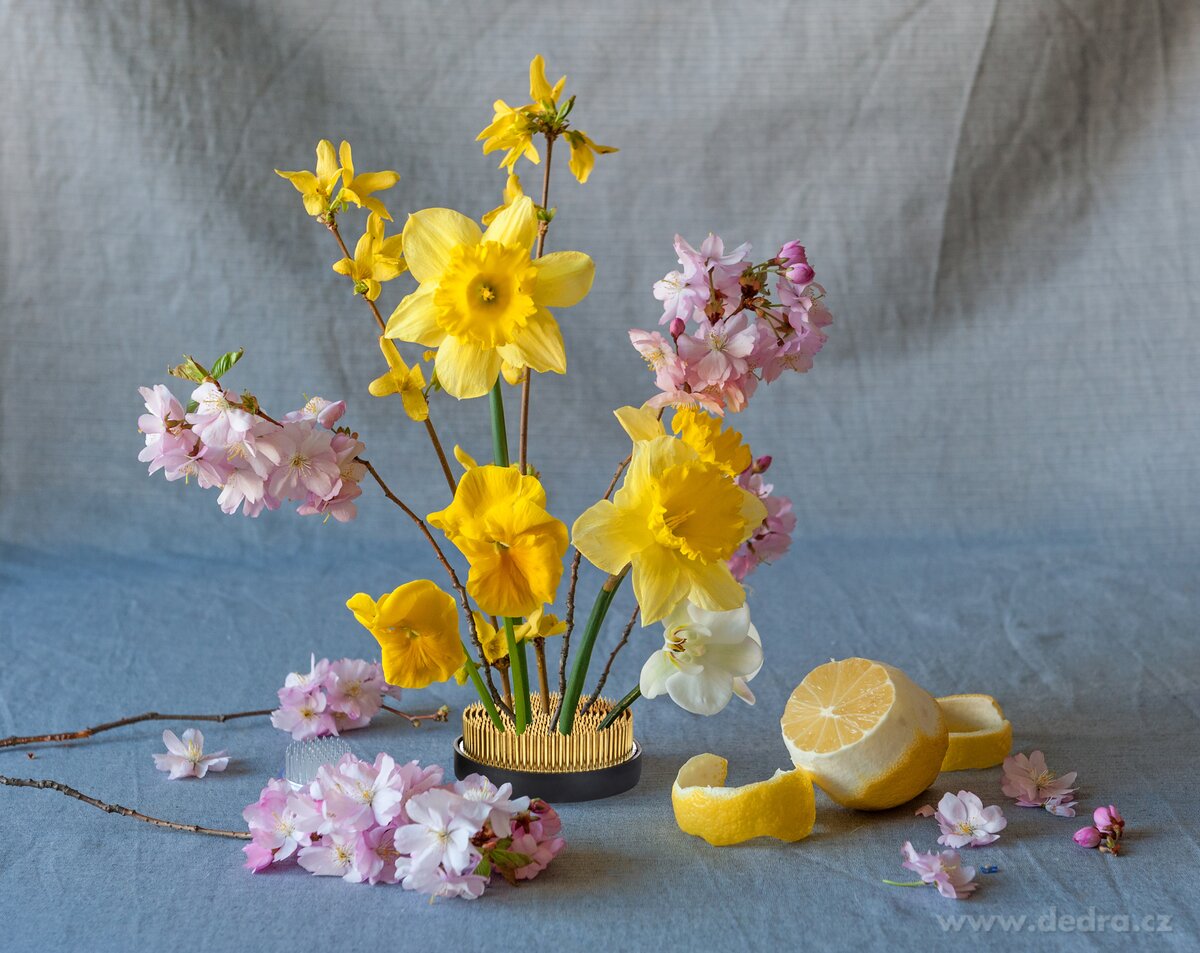 IKEBANA, Aranžovací napichovací ježek na květiny, Ø 9 cm, 1 kg – náhled 6 | Grand Móda