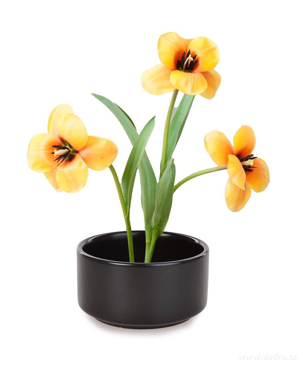 IKEBANA, Keramická mísa na květinové aranžmá & svíčky, Ø 12, 5 cm, 600 ml – náhled 5 | Grand Móda