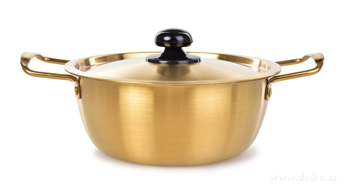 2000 ml rychloohřevný hrnec s poklicí EXPRES GOLD | Hrnce a pekáče | Grand Móda