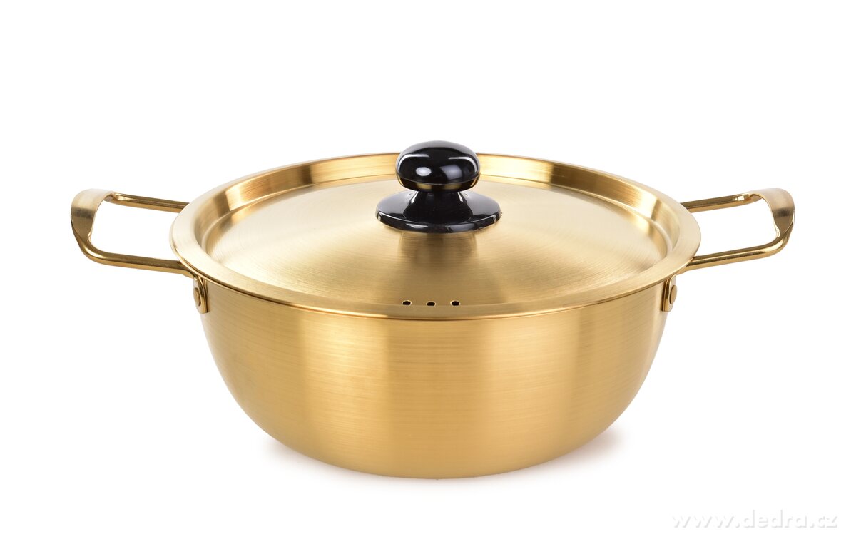 2500 ml rychloohřevný hrnec s poklicí EXPRES GOLD | Hrnce a pekáče | Grand Móda