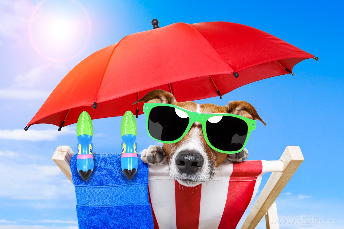 TUKAN PEPAN | 2 ks klipy na pl├í┼żov├ę osu┼íky & leh├ítka - obr├ízek 3 | Novinky | Grand M├│da