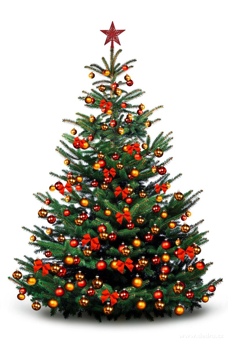 V├üNO─îN├Ź KORUNA | hv─Ťzda na stromek | ─Źerven├í krajkov├í t┼Öpytiv├í - obr├ízek 5 | Tradi─Źn├ş odst├şny V├ínoc | Grand M├│da